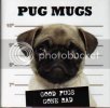 pug_mugs.jpg