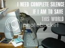 funny_cat_pictures_pc_3.jpg
