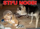 Little20Dog20Owned.jpg