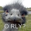 orly-ostrich.jpg