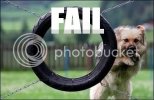 fail.jpg