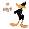 orly_daffy.jpg