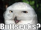 Owl-buttsecks.jpg