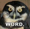 wordowl.jpg