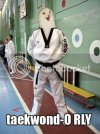 taekwond-ORly.jpg