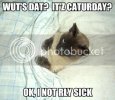 wuts-dat-itz-caturday-ok-i-not-rly-.jpg