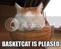 basketcat.jpg