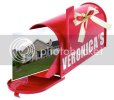 Mailbox-Veronica.jpg