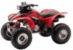 honda_TRX300EX_2006.jpg