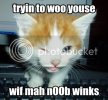 n00bwinks.jpg