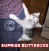 surprisebuttsecks.jpg