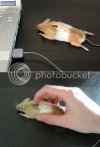 mousemouse.jpg