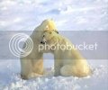 polarbearshugging.jpg