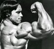 arnold.jpg