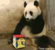sparta-1.gif