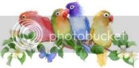 BIRDS-1.jpg