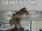 I20SEE20WHAT20YOU20DID20THERE.jpg