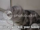 Drillcat.jpg