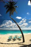 Beach-TCB1113.jpg