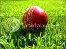 cricketball-2042547.jpg