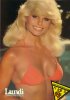 424px-Loni-anderson.jpg