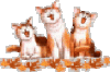 Kitty Sing.gif