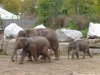 Chester Zoo 004.jpg