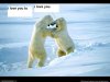 Dancin polar bears woot!.jpg