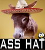 ass_hat.jpg