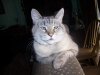 100_6589.jpg