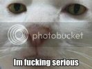LolCatRenderer-32.jpg