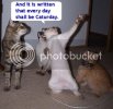 Every20day20is20Caturday.jpg