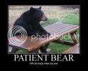 patient-bear-demotivational-poster.jpg