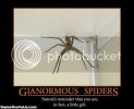 giant-spiders-men-into-girls-demotivational-poster.jpg