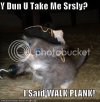 pirate.jpg