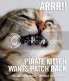 pirate-1.jpg