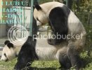 xin_2404042315399293026716.jpg