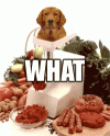 whatdog.gif