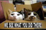 1WeSeeWhatYouDidThere.gif