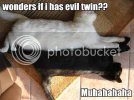 wonders-if-i-has-evil-twin-muhahaha.jpg