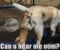 24feb27-can-you-hear-me-now.jpg