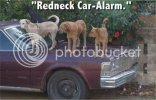 RedneckCarAlarm.jpg