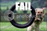 fail.jpg