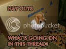 CatThread.jpg