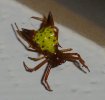 DSC09397.jpg