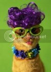 catlook.jpg
