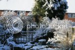 snow0021.jpg