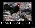 giantblackcock.jpg