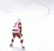 redwing-1.gif