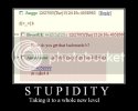 stupidity.jpg